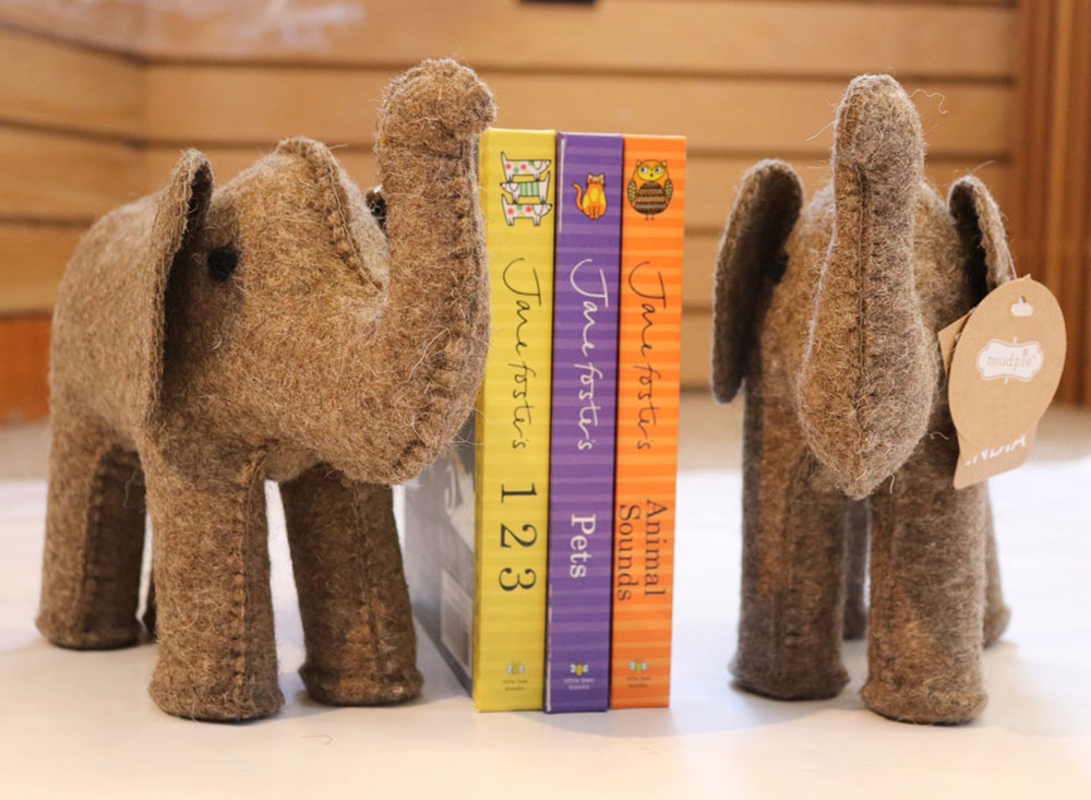 ss-books-and-elephants